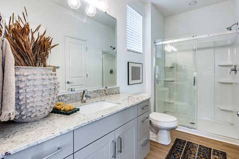 a bathroom with a sink and a toilet and a shower