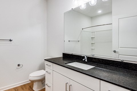 a bathroom with a sink and a mirror and a toilet