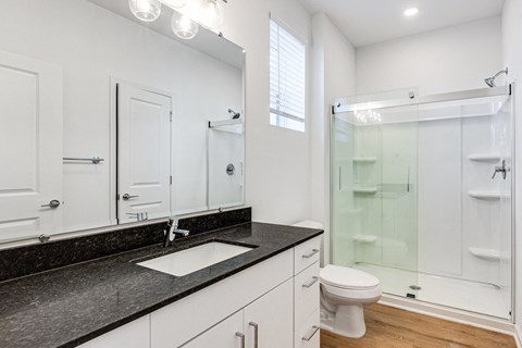 a bathroom with a sink and a toilet and a shower