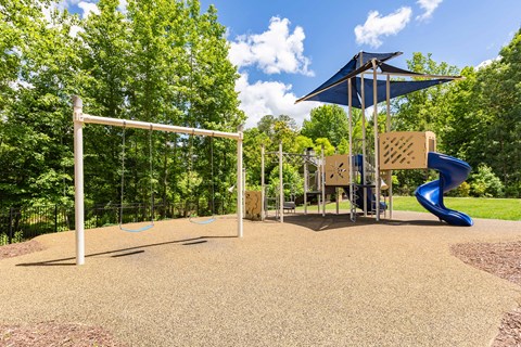 a playground with a blue slide in a park