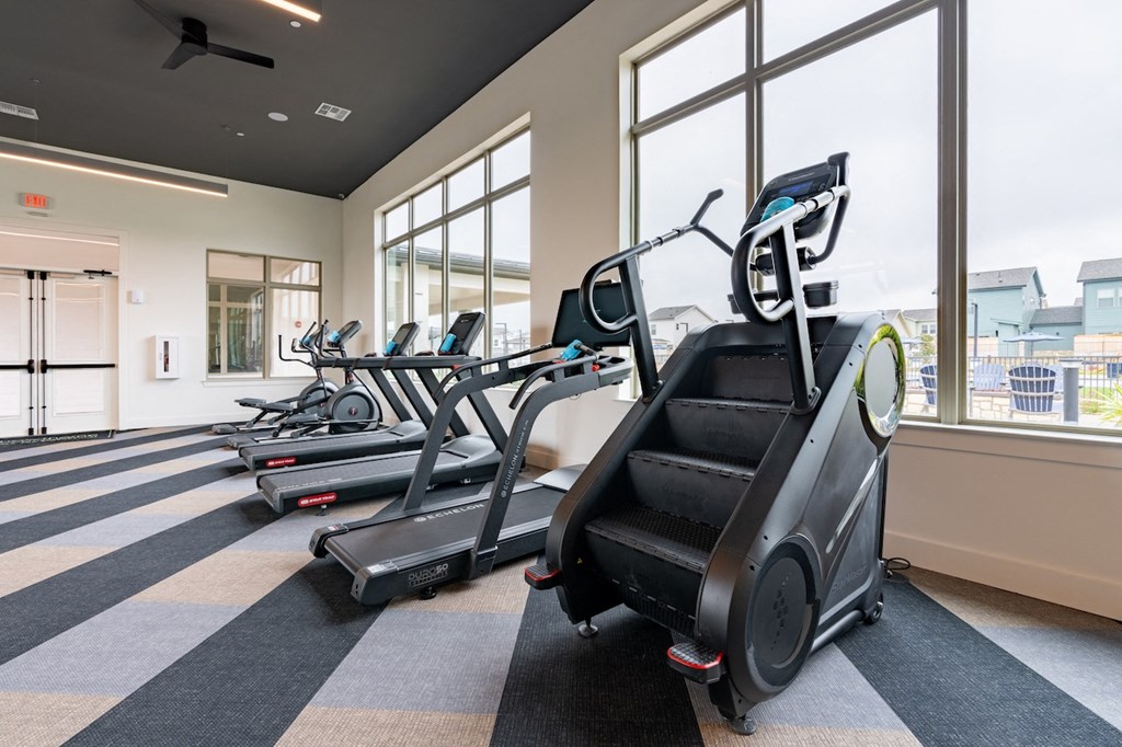 A row of treadmills are lined up in a gym.