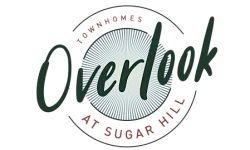 A logo with the word "Overlook" written on it.