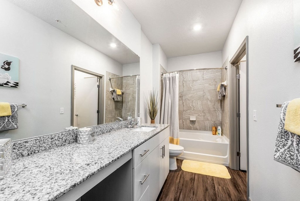a bathroom with a counter top and a shower and a tub