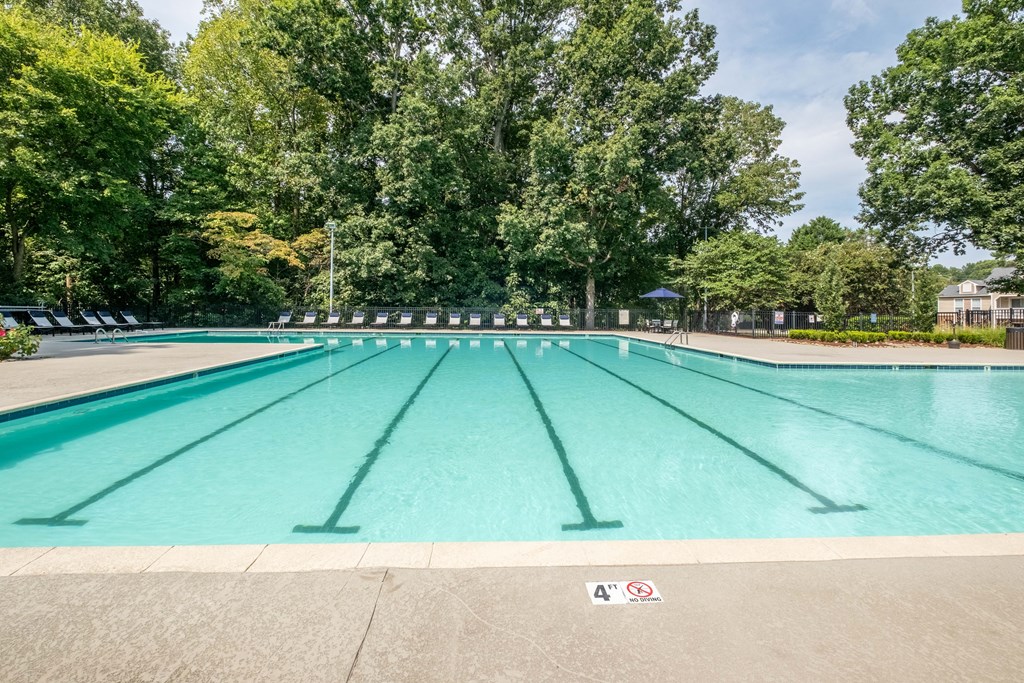 a large swimming pool with trees in the background