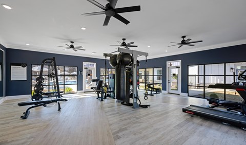 A spacious gym with a variety of equipment and a treadmill.