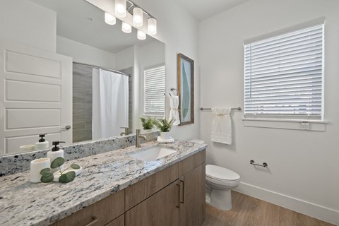 a bathroom with a sink and a toilet and a mirror