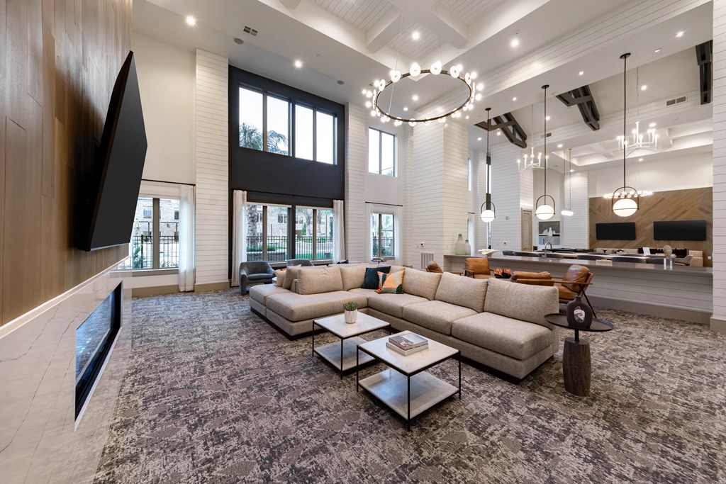 A modern living room with a large grey rug and a grey sofa.
