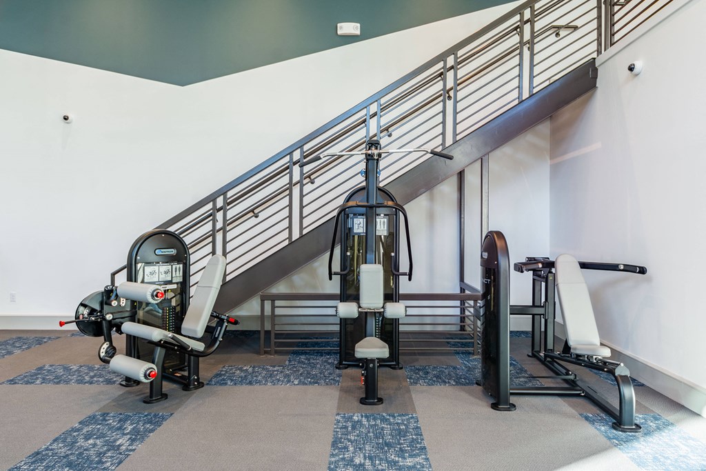 two treadmills and weights under the stairs in a gym