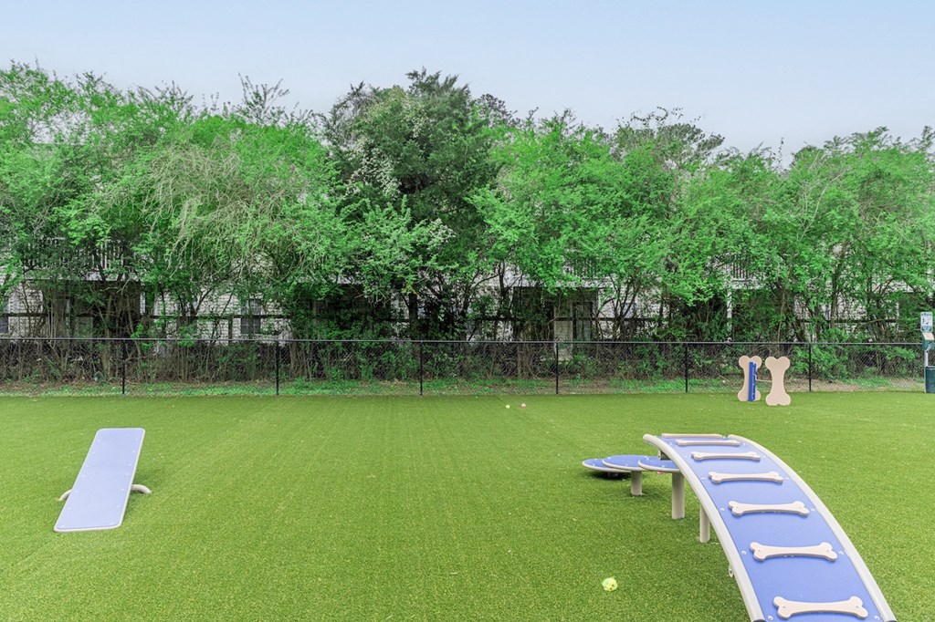 a large grassy field with a fence in the background and a row of trees in the