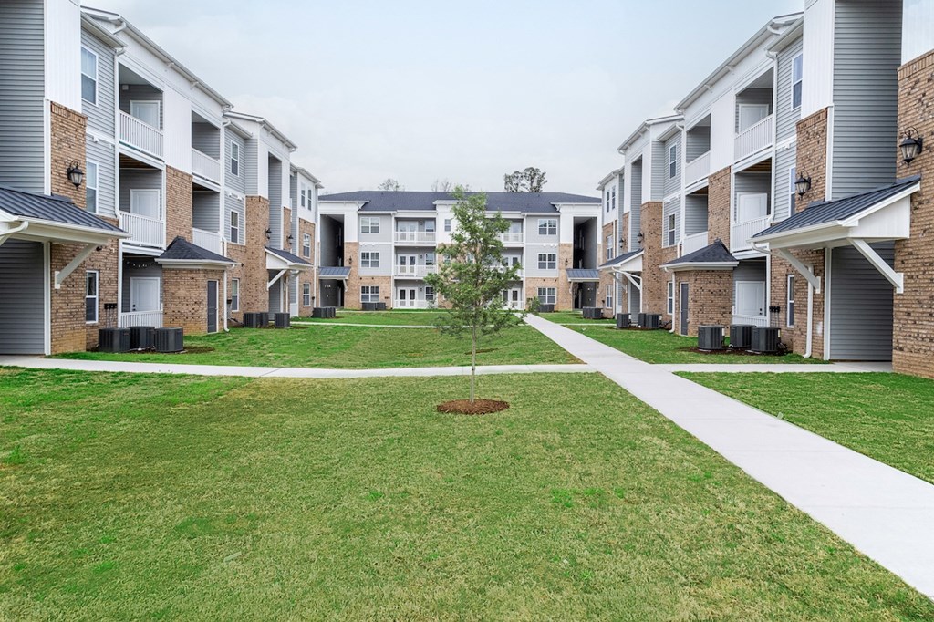 a tree in the middle of a grassy area in front of an apartment building