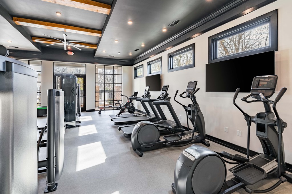 A gym with treadmills, elliptical machines, and a fan.