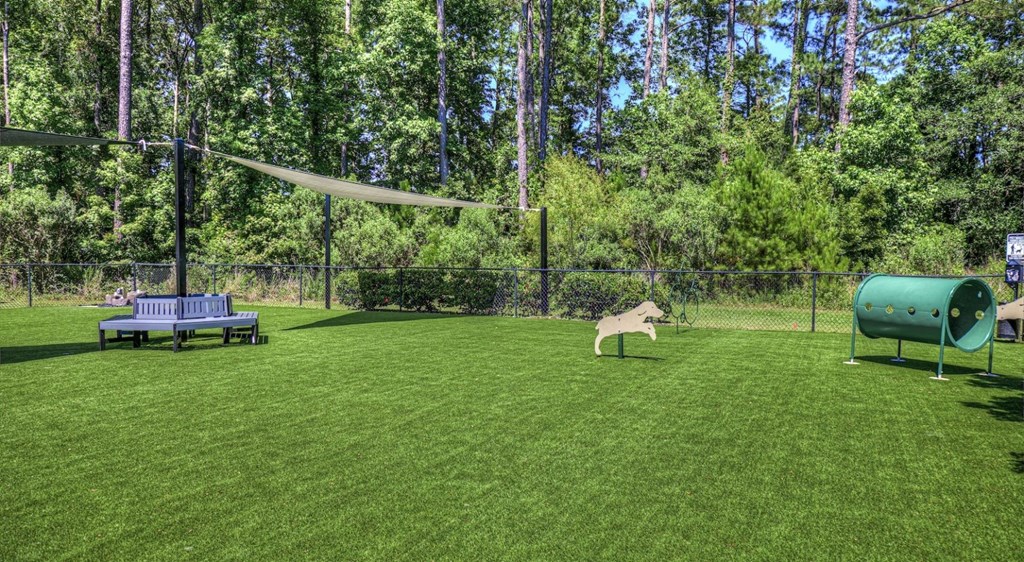 A dog is standing in a green field with a blue bench and a green barrel.