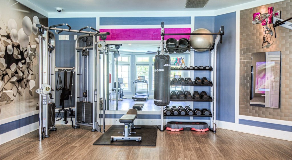 A gym with a variety of equipment including a punching bag.