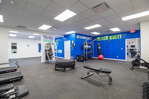 the gym is fully equipped with free weights and cardio equipment
