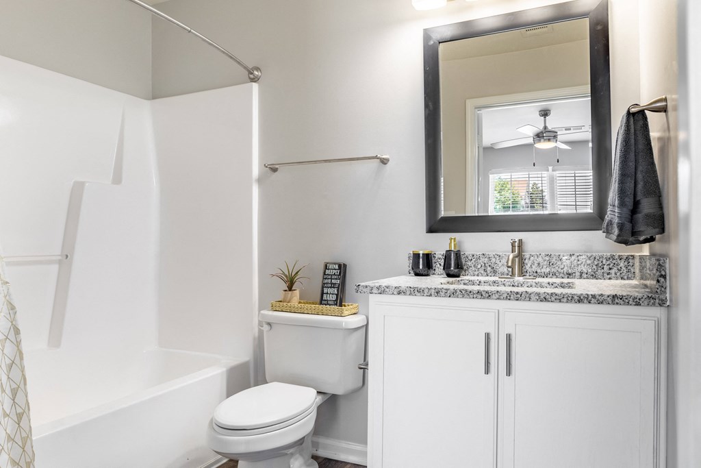 a bathroom with a mirror and a toilet and a sink