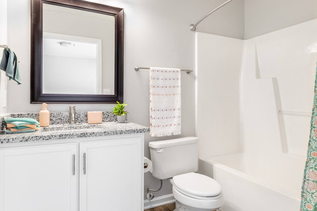 a bathroom with a toilet and a sink and a mirror