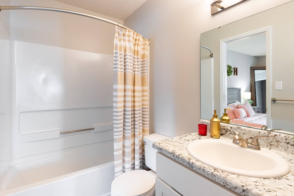 a bathroom with a shower toilet and sink with a mirror above it