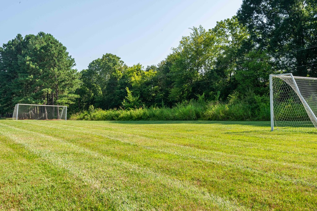 a soccer field on a sunny day with trees in the background