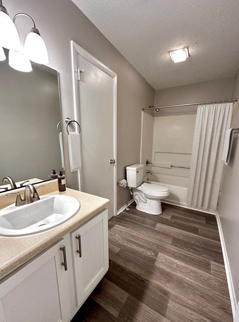 a bathroom with a sink and a toilet and a shower