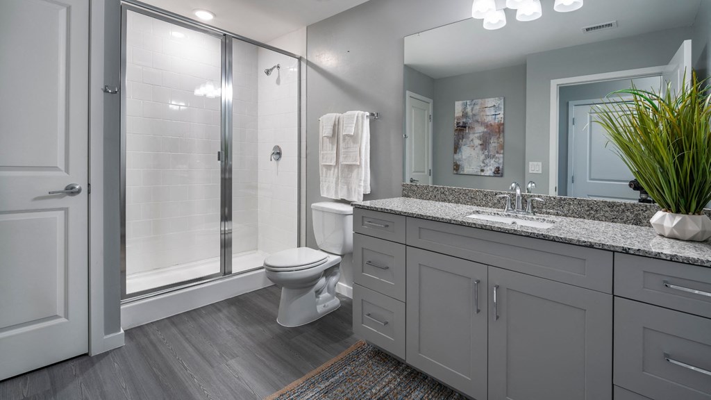 a bathroom with a shower and a toilet and a sink