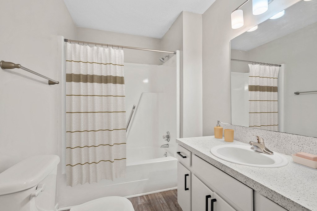 a bathroom with a sink and a shower and a toilet