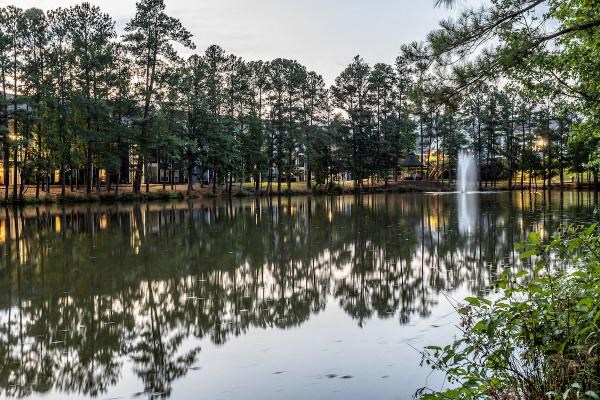 A serene lake surrounded by trees with a fountain in the middle.