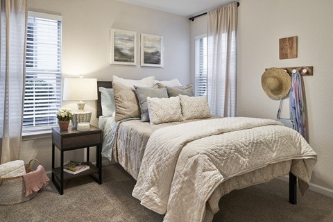 a bedroom with a large bed and two windows