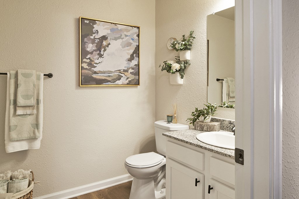 a bathroom with a toilet and a sink and a mirror