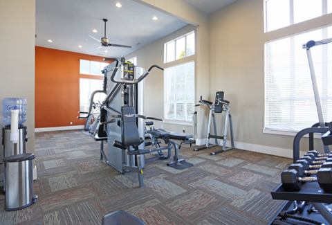 a gym with cardio equipment and weights in a building