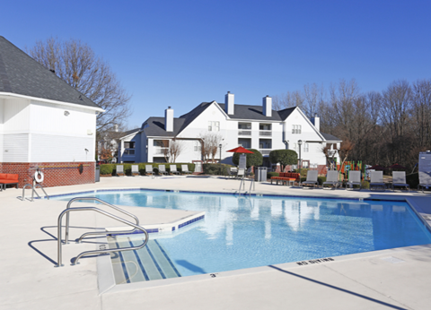 an image of a field of purple and green patterns