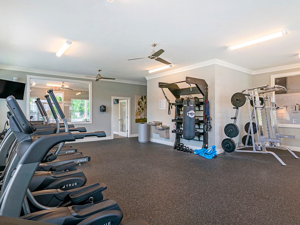 the gym has plenty of cardio equipment and dumbbells