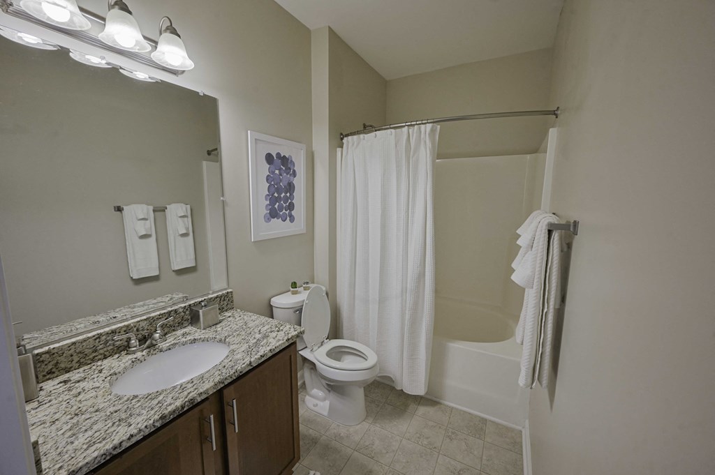 a bathroom with a sink and a toilet and a shower