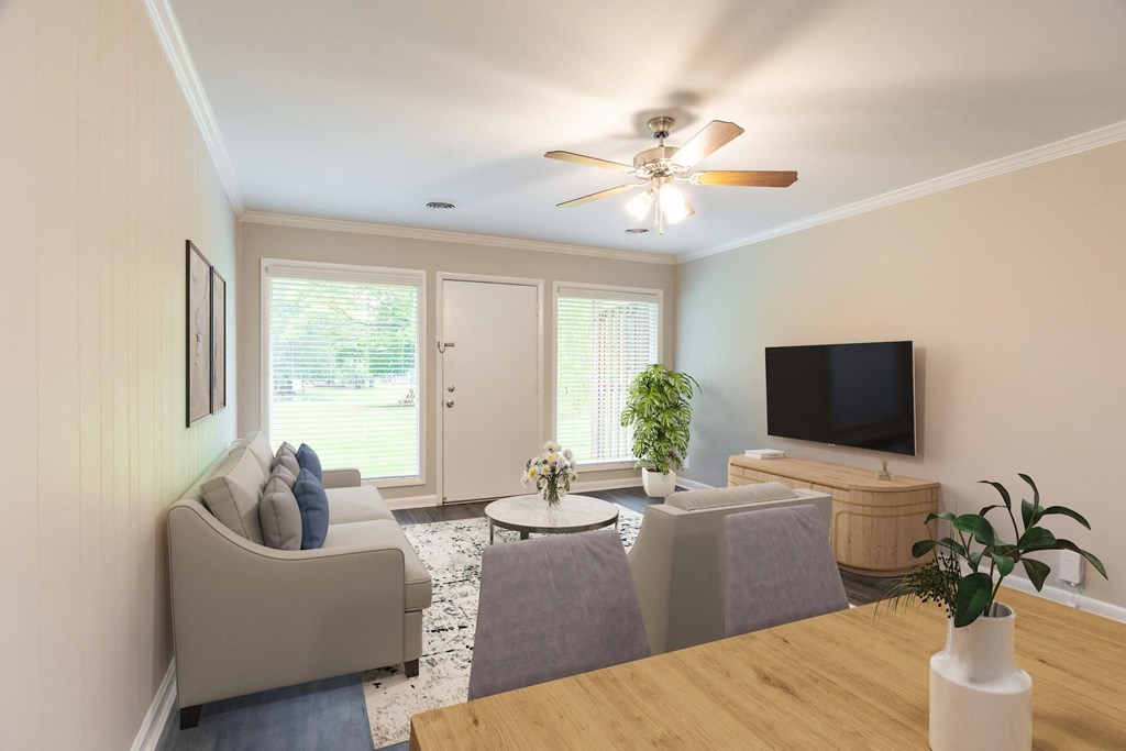 Large Open Living Room Area
