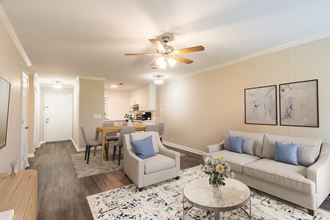 Living Room and Kitchen Space