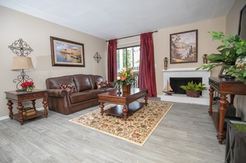 living room with plank flooring - Photo Gallery 17
