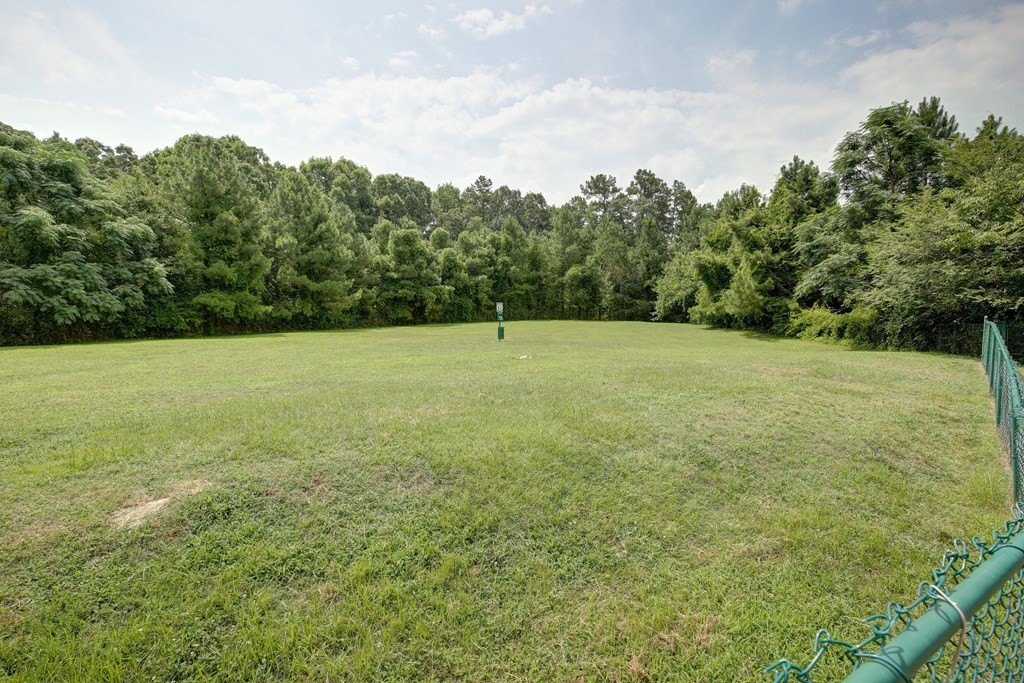 Leash Free Bark Park at Wynslow Park Apartments in Raleigh, NC