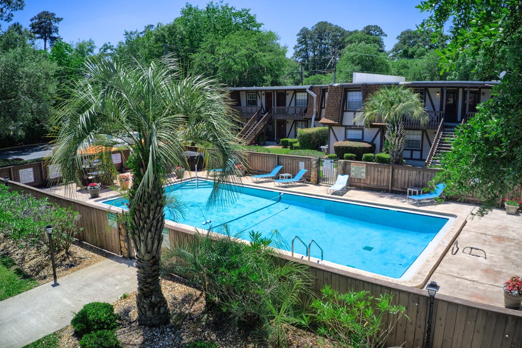 a swimming pool in a backyard with palm trees