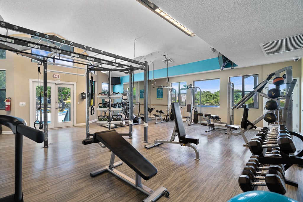 a gym with weights and cardio equipment and windows with a view of the beach