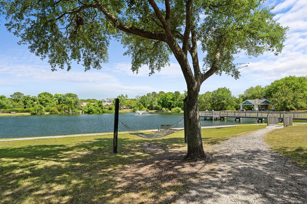 a hammock hanging from a tree next to a lake