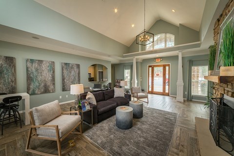 A living room with a grey rug and a brown couch.