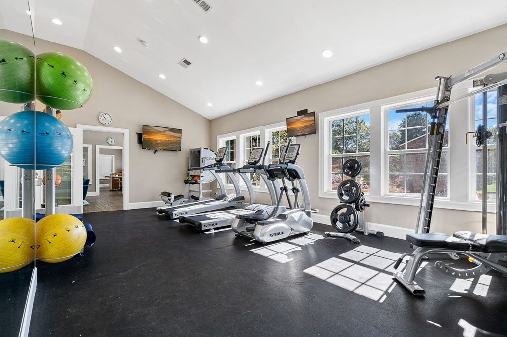 the gym is equipped with cardio equipment and weights