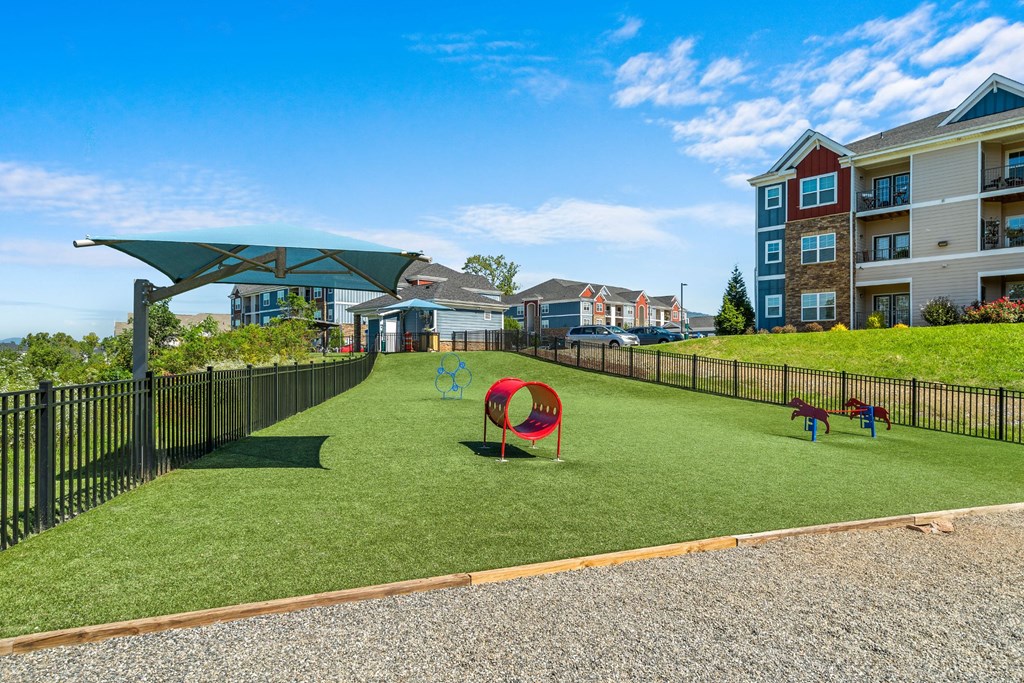 pet park with agility equipment