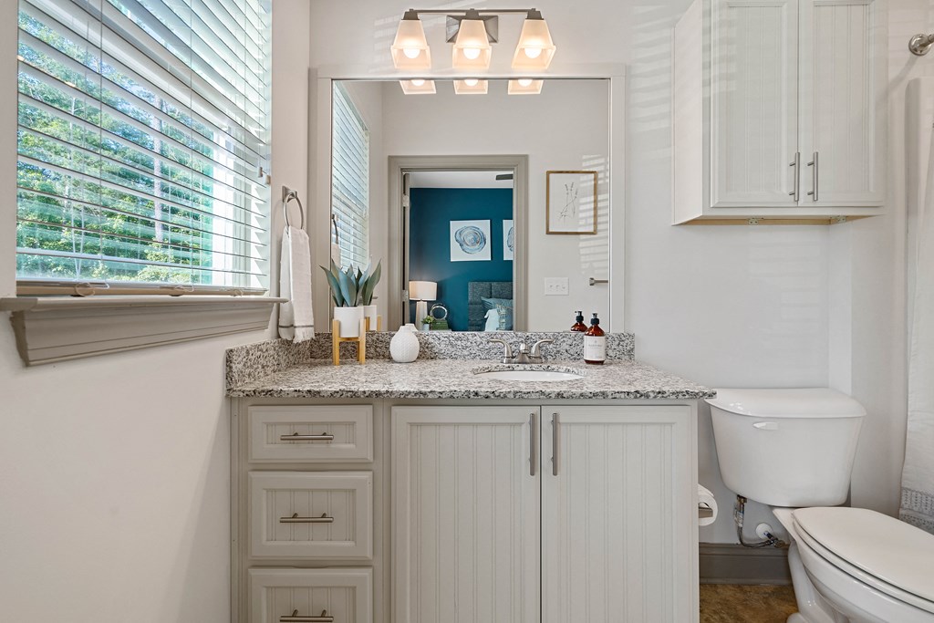 a bathroom with a sink and a toilet and a mirror
