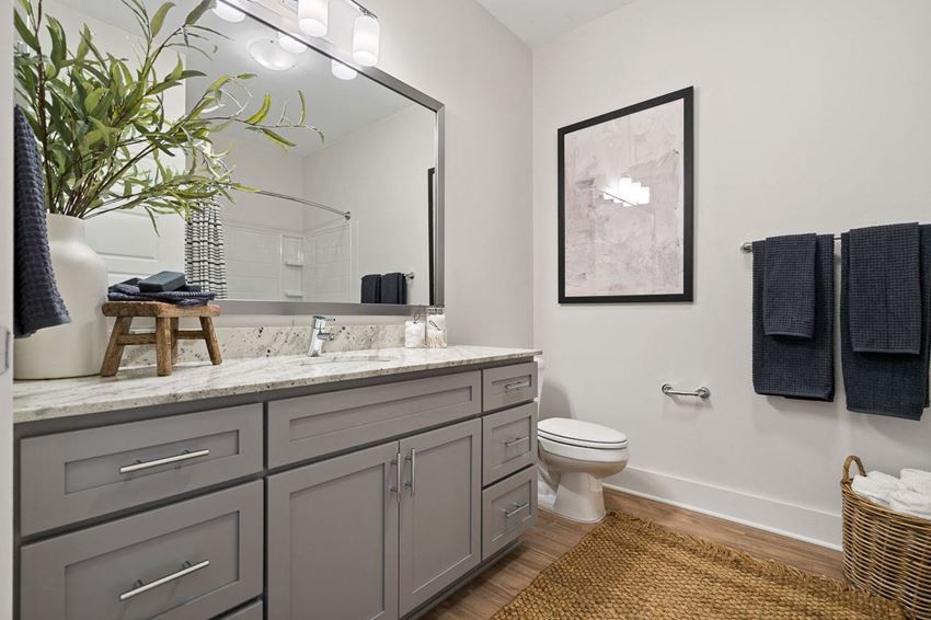 a bathroom with a large mirror and a toilet