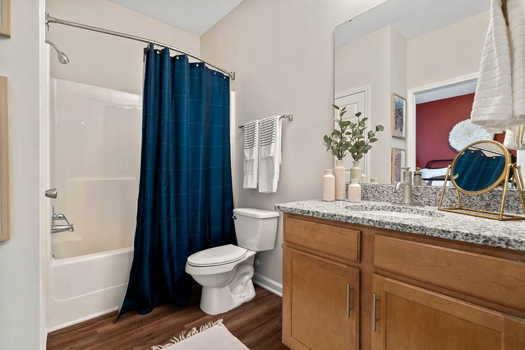 a bathroom with a shower toilet and sink and a mirror