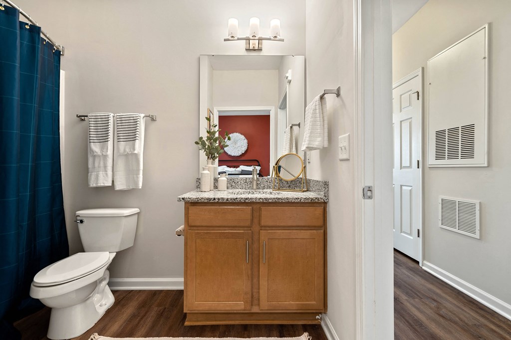 a bathroom with a toilet and a sink and a mirror