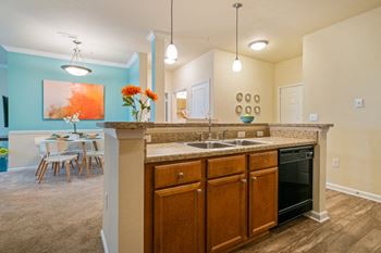 Granite look countertops at Hawthorne at the Greene