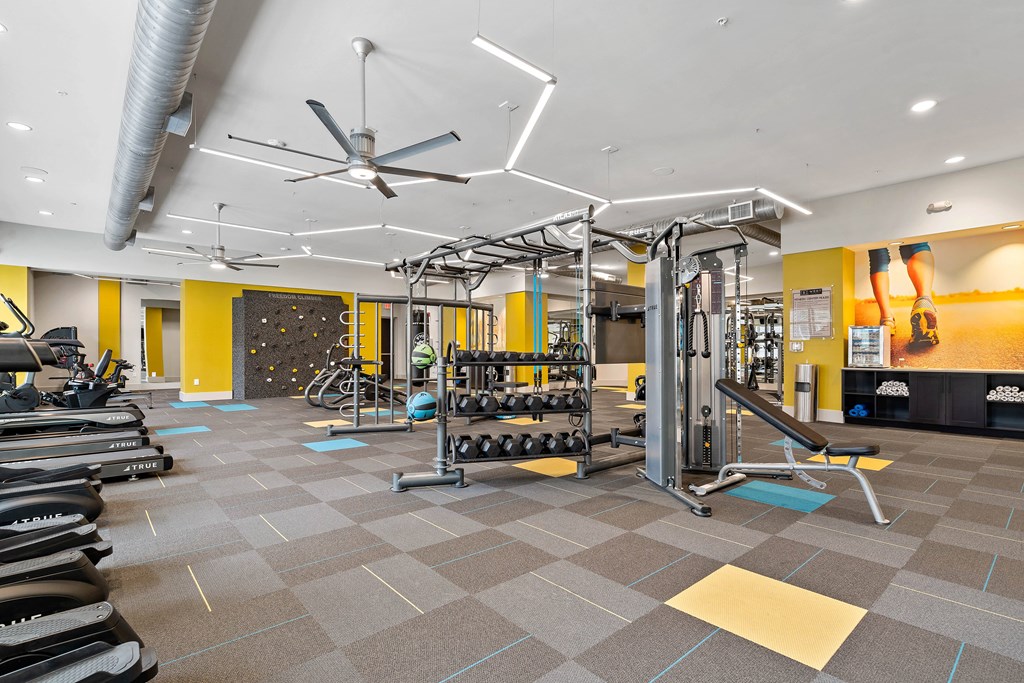 the gym at the flats at big tex apartments