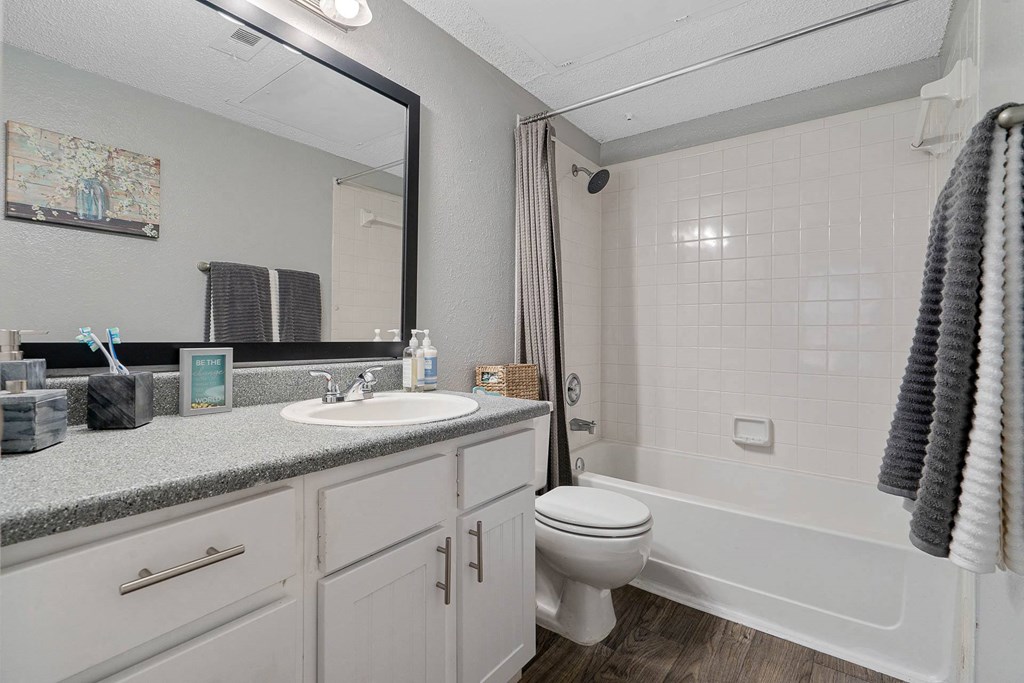 a bathroom with a sink and a shower and a toilet