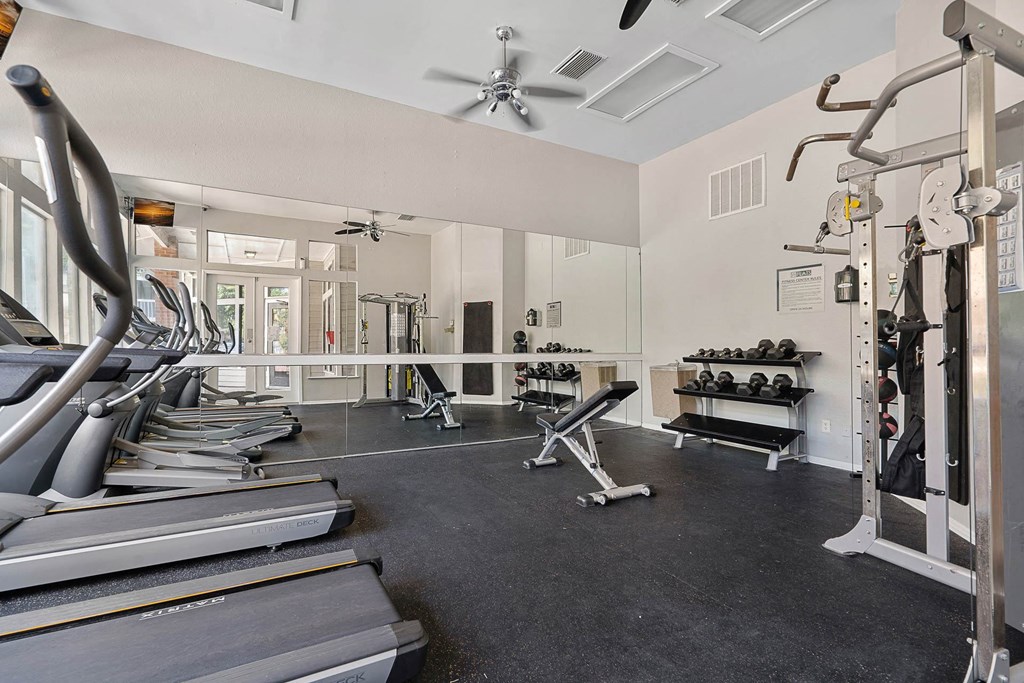 the gym is equipped with cardio equipment and weights